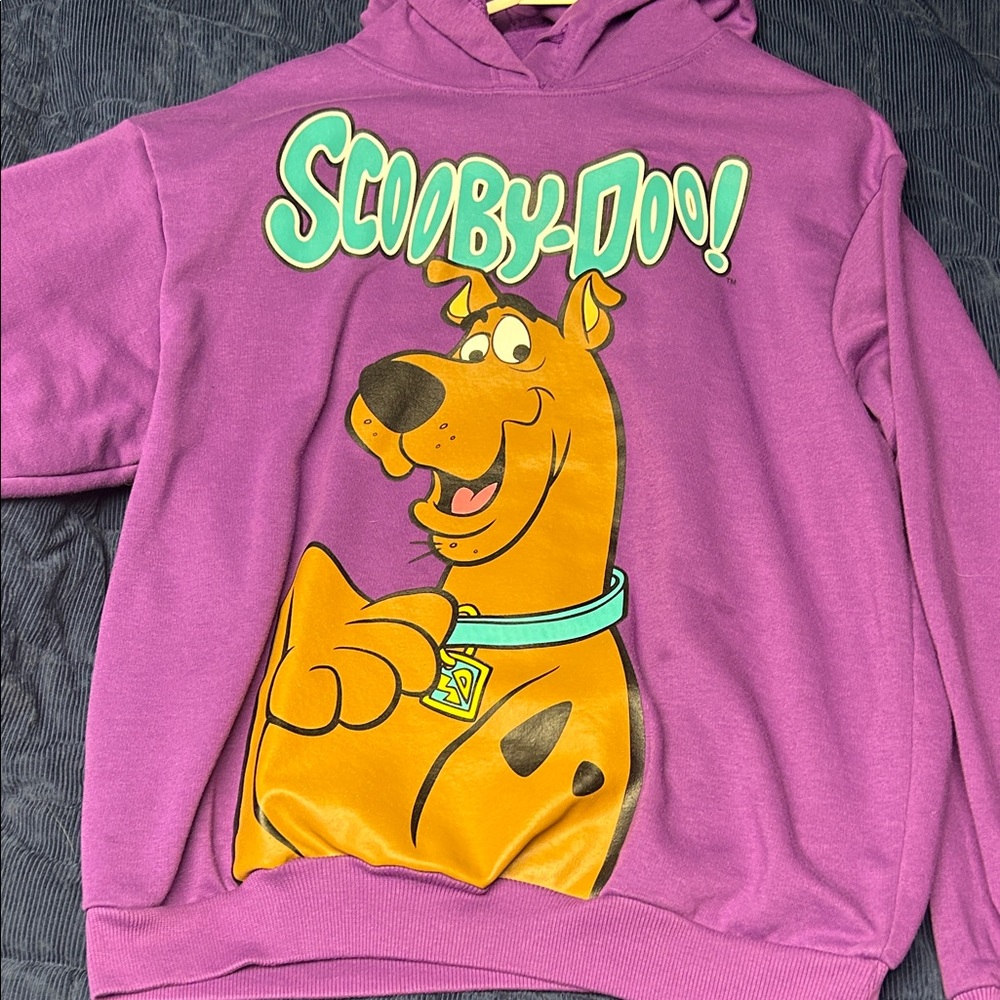 Scooby-Doo Purple Hoodie for Men